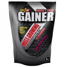 Power Pro Gainer (1 kg)